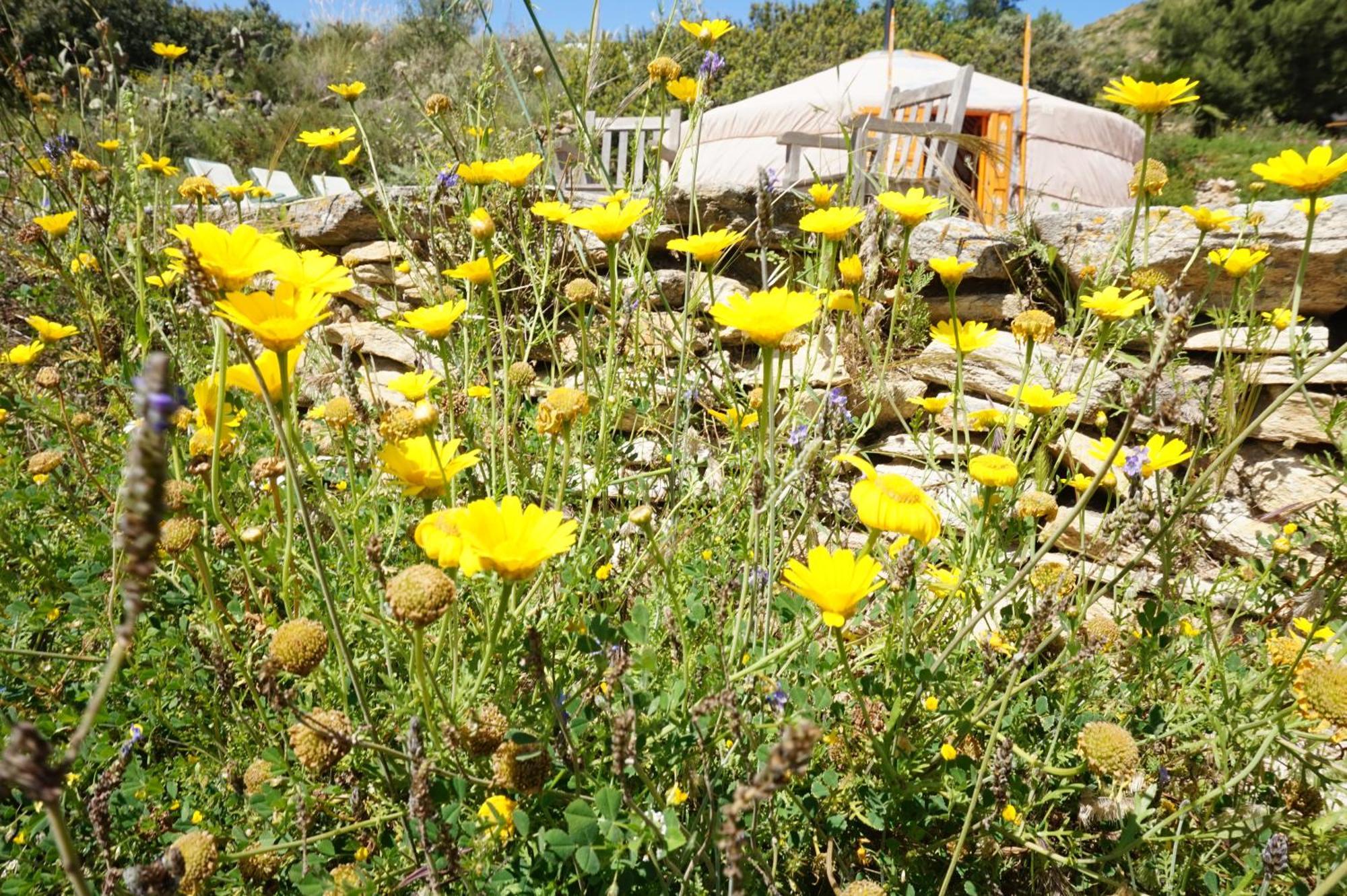 Bed and Breakfast Bed & Breakfast Alegria Y Luna Sorbas Exteriér fotografie